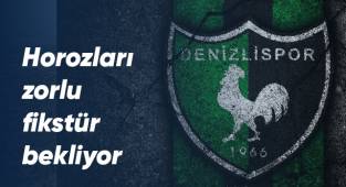 Horozları zorlu fikstür bekliyor