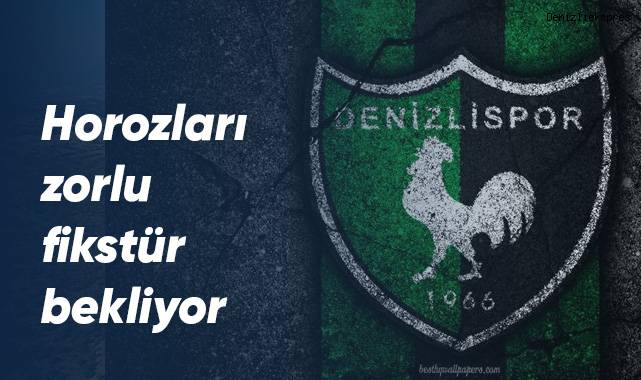 Horozları zorlu fikstür bekliyor