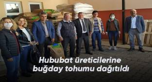 Hububat üreticilerine buğday tohumu dağıtıldı