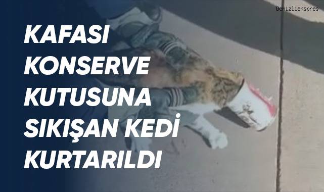 Kafasına konserve kutusu sıkışan kediyi itfaiye kurtardı