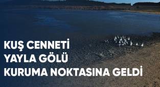 Kuş cenneti Yayla Gölü kuruma noktasına geldi