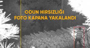 Odun hırsızlığı foto kapana yakalandı