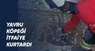 Yavru Köpeği İtfaiye Kurtardı