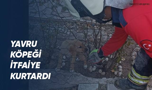 Yavru Köpeği İtfaiye Kurtardı
