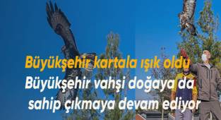 Büyükşehir vahşi doğaya da sahip çıkmaya devam ediyor