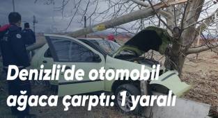 Denizli’de otomobil ağaca çarptı: 1 yaralı
