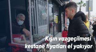 Geçtiğimiz yıl 23 TL olan kestane fiyatları bu yıl 60 TL oldu