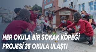 Her Okula Bir Sokak Köpeği Projesi 25 Okula Ulaştı