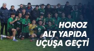 Horoz alt yapıda uçuşa geçti