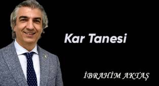 Kar Tanesi
