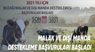Malak ve dişi manda destekleme başvuruları başladı