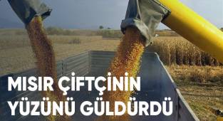 Mısır çiftçinin yüzünü güldürdü