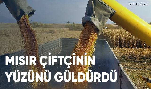 Mısır çiftçinin yüzünü güldürdü