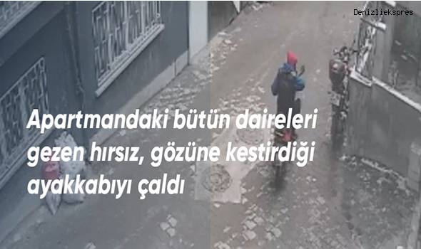 Ayakkabı hırsızları mahalleyi canından bezdirdi
