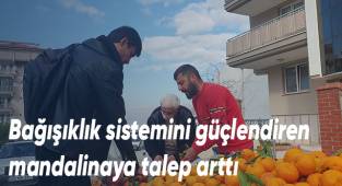 Bağışıklık sistemini güçlendiren mandalinaya talep arttı