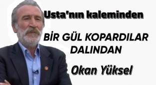 BİR GÜL KOPARDILAR DALINDAN...