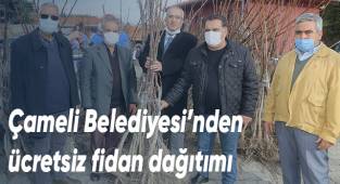 Çameli Belediyesi’nden ücretsiz fidan dağıtımı