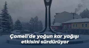 Çameli'de yoğun kar yağışı etkisini sürdürüyor