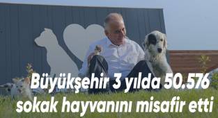 Can dostlar 5 yıldızlı otel konforunda hizmet alıyor