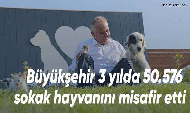 Can dostlar 5 yıldızlı otel konforunda hizmet alıyor