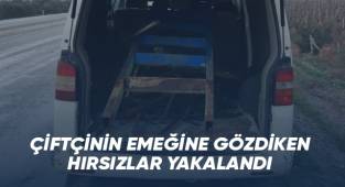 Çiftçinin ekmeğine göz diken hırsızlar yakalandı