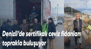 Denizli’de sertifikalı ceviz fidanları toprakla buluşuyor