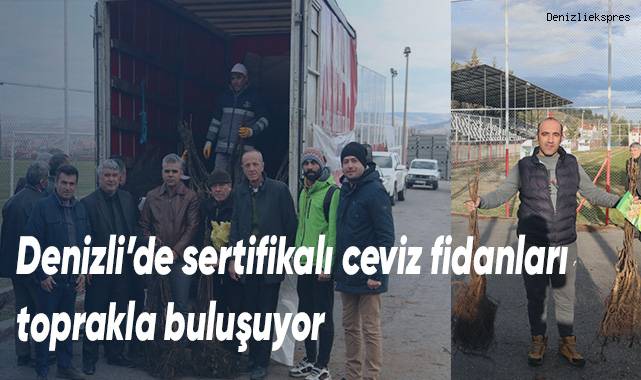 Denizli’de sertifikalı ceviz fidanları toprakla buluşuyor