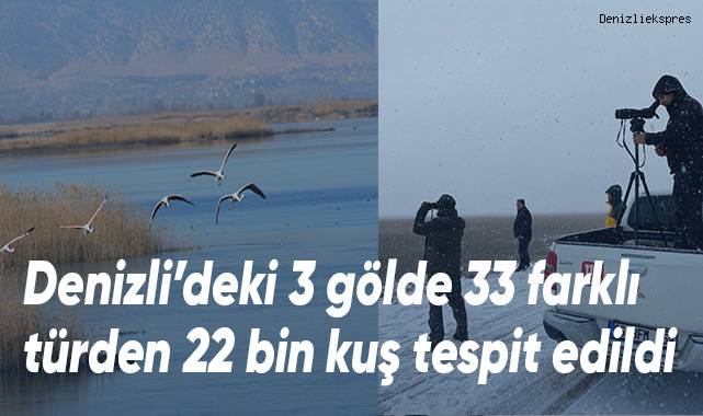 Denizli’deki 3 gölde 33 farklı türden 22 bin kuş tespit edildi
