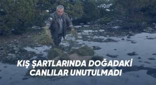 Doğadaki canlılar unutulmadı