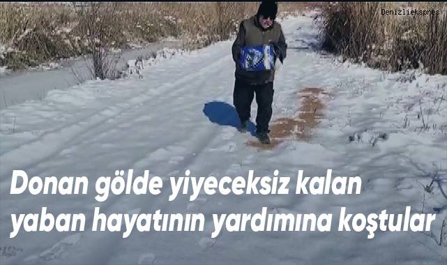 Donan gölde yiyeceksiz kalan yaban hayatının yardımına koştular