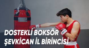 DOSTEKLİ BOKSÖR ŞEVKİCAN, İL BİRİNCİSİ