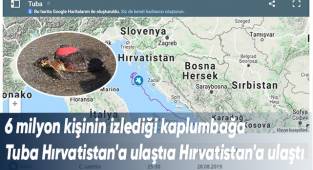 Dünya literatüründe bir ilk olan Tuba, 16 bin kilometre yol gitti