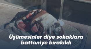 Hayvanlar üşümesin diye sokaklara battaniye bırakıldı