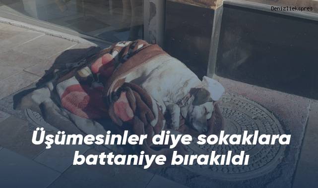 Hayvanlar üşümesin diye sokaklara battaniye bırakıldı