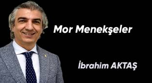 Mor Menekşeler