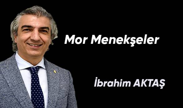Mor Menekşeler