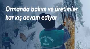 Ormanda bakım ve üretimler kar kış devam ediyor