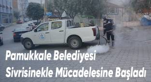 Pamukkale Belediyesi Sivrisinekle Mücadelesine Başladı