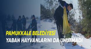 Pamukkale Belediyesi yaban hayvanlarını unutmadı