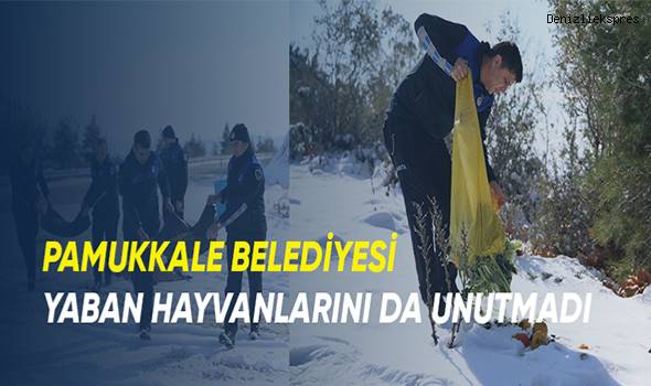 Pamukkale Belediyesi yaban hayvanlarını unutmadı