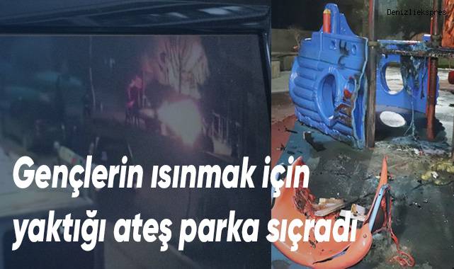 Parkı alev alev yakan gençler kameraya yakalandı