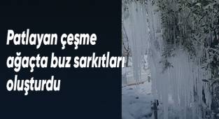 Patlayan çeşme ağaçta buz sarkıtları oluşturdu