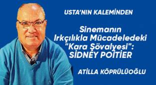 Sinemanın Irkçılıkla Mücadeledeki