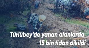 Türlübey’de yanan alanlarda 15 bin fidan dikildi