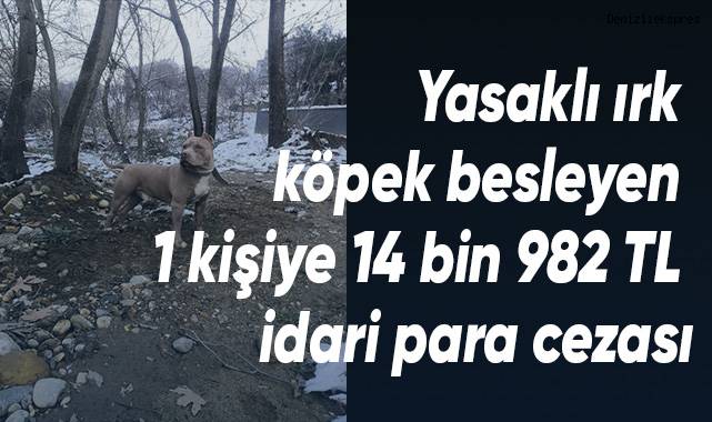 Yasaklı ırk köpek besleyen 1 kişiye 14 bin 982 TL idari para cezası