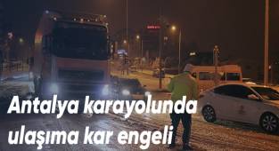 Yoğun kar yağışı bir çok noktayı felç etti