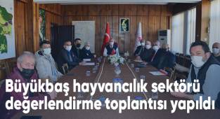 Büyükbaş hayvancılık sektörü değerlendirme toplantısı yapıldı