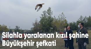 Büyükşehir ile özgürlüğe açılan bir kanat daha