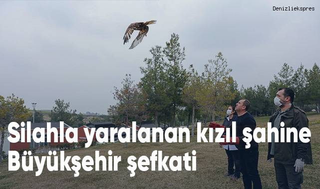 Büyükşehir ile özgürlüğe açılan bir kanat daha