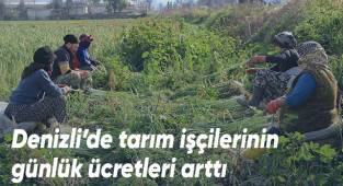 Denizli’de tarım işçilerinin günlük ücretleri arttı